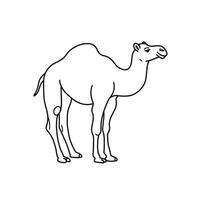 A camel is standing in a line drawing vector