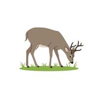 Deer in the grass illustration vector