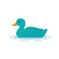 A duck floating in the water on a white background vector