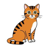 A cartoon cat sitting down on a white background vector