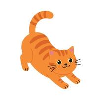 An orange cat is standing and looking up vector