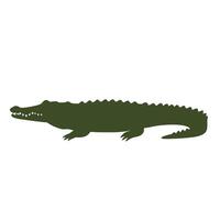 Crocodile silhouette on white background vector