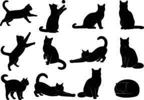 isolated cat silhouettes in various poses on white background vector