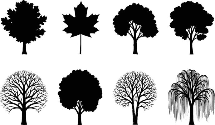 set of tree silhouettes showing various types and seasons isolated on white background