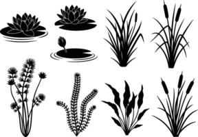 isolated black silhouettes of various aquatic plants on white background vector