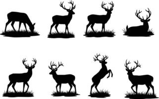silhouette of a collection of eight black deer silhouettes in various poses isolated on a white background vector
