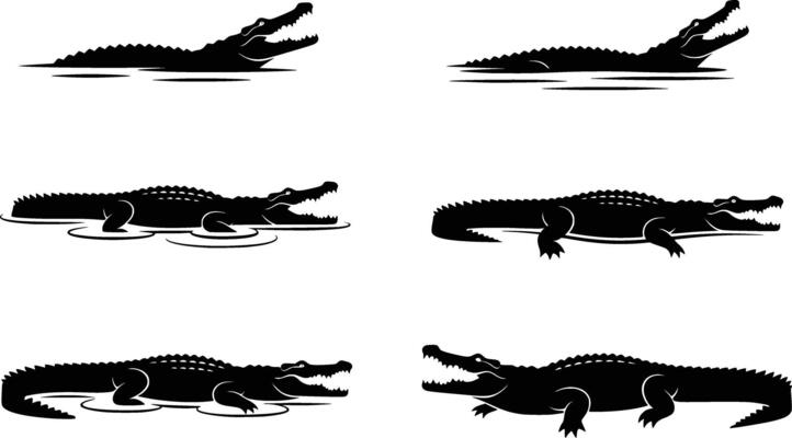 Crocodile silhouette illustration