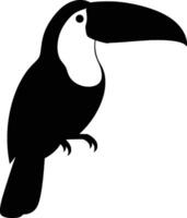 Toucan bird silhouette on white background vector