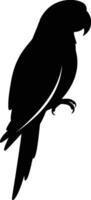 silhouette of a striking black silhouette of a parrot perched against a clean white background vector