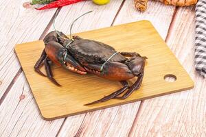 A crab on a cutting board with some spices photo