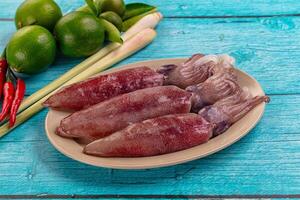 Three raw squid on a plate with lime and green onions photo