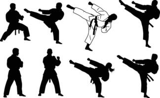 silhouettes of karate athletes demonstrating various techniques isolated on white background vector