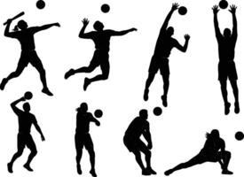 Silhouettes of volleyball players vector