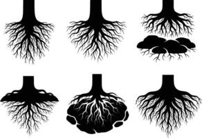 various tree root silhouettes isolated on white background vector