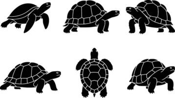 various turtle and tortoise silhouettes isolated on white background vector