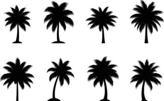 collection of eight isolated palm tree silhouettes on white background vector