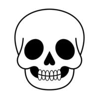 Cartoon Skull Illustration. The design includes large round eye sockets, a small triangular nose cavity and a row of simplified, rounded teeth. vector