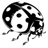 Detailed black and white ladybug illustration close up insect silhouette, natural pattern, bug species, isolated graphic design vector