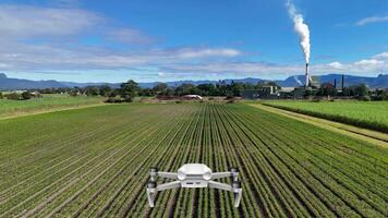 Aerial drone animation over farmland towards a distant factory, showcasing vibrant fields and industrial contrast under clear skies video