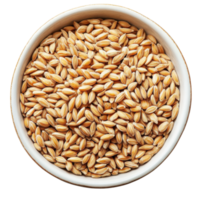 High-quality grains arranged in a neat bowl, showcasing natural texture and color for culinary use and healthy eating, Transparent Background png
