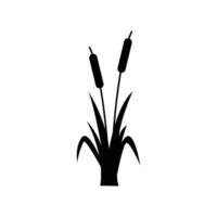 Cattail Plant icon. Silhouette of cattails and reeds. Cattail wetland plant in solid icon. vector