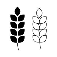 Wheat ear icon for agriculture and farming. Carbohydrate icon. Grain icon set. Wheat symbol. isolated on white background. vector