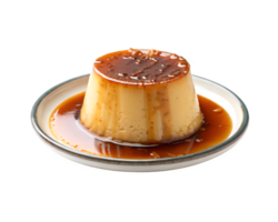Caramel flan with sauce on a plate isolated on transparent background png