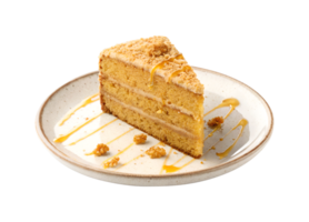 Honey cake slice served on a plate isolated on transparent background png