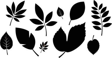 Collection of Various Black Silhouettes of Leaves in Different Shapes and Sizes on White Background vector