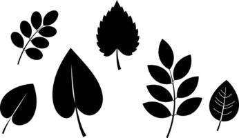 Collection of black silhouette leaves with various shapes and sizes natural design elements for decoration and illustration vector