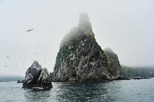 Buhta russkaya, Kamchatka. Misty Coastal Rock Formation Surrounded by Foggy Weather Conditions Creating a Dreamy Aesthetic photo
