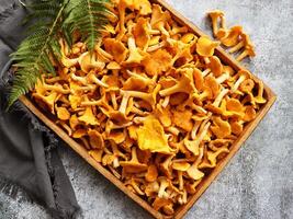 Fresh chanterelle mushrooms set in wooden box container on table background, top view flat lay photo