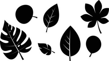 Various black silhouette leaves in different shapes and sizes isolated on white background natural design elements vector