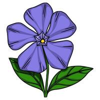 illustration of a stylized periwinkle flower with vibrant purple petals and deep green leaves, showcasing a unique handdrawn aesthetic. vector