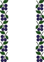 Elegant blueberry branch border design, featuring dark purple berries and vibrant green leaves, perfect for invitations, cards, or packaging. vector
