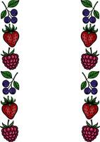 Delightful illustration featuring a vertical border design of vibrant strawberries, raspberries, and blueberries, perfect for summerthemed projects. vector
