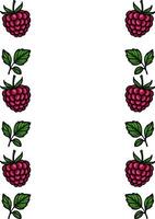 illustration of a vertical frame with handdrawn raspberries and leaves, perfect for summer designs and invitations. vector