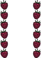 A charming illustration featuring a vertical border design of meticulously detailed raspberries, perfect for adding a touch of summer sweetness to your projects. vector