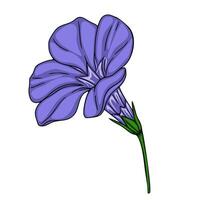 Delicate Illustration of a Single Periwinkle Blue Flower with a Green Stem, Isolated on White Background. vector