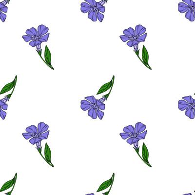 Seamless pattern of delicate periwinkle flowers with green leaves on a white background, ideal for textile prints and floral designs.