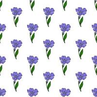 Seamless pattern of delicate periwinkle flowers with vibrant purple petals and lush green leaves, arranged in a repeating design on a white background. vector