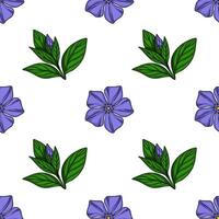 Seamless pattern with handdrawn periwinkle flowers and buds, featuring vibrant purple blossoms and deep green leaves against a crisp white background, ideal for textile prints or digital de... vector