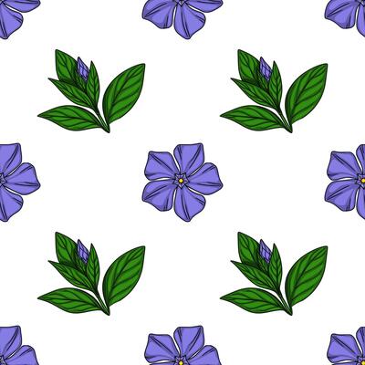 Seamless pattern with handdrawn periwinkle flowers and buds, featuring vibrant purple blossoms and deep green leaves against a crisp white background, ideal for textile prints or digital de...
