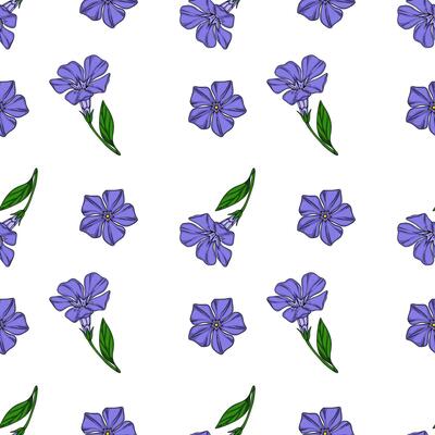 Seamless pattern of delicate periwinkle flowers and buds, featuring a mix of single blossoms and stems with leaves, creating a charming floral design perfect for spring or summer projects.