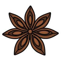 Detailed illustration of a single star anise spice, showcasing its intricate brown and black color palette with a stylized, almost cartoonish design. vector