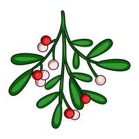 Festive Mistletoe Illustration A charming handdrawn style depiction of mistletoe branch with red and white berries, perfect for Christmas designs and holiday greetings. vector