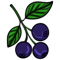 A vibrant illustration of a blueberry branch featuring three ripe blueberries and two green leaves. The design is colorful and cartoonish, emphasizing the freshness of the fruit. vector