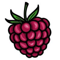 A vibrant, cartoonstyle illustration of a raspberry with detailed shading and bold outlines. The berry is plump and juicy, showcasing its characteristic shape and texture, with green leaves vector