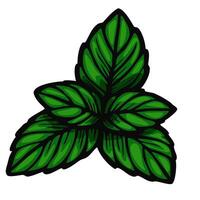 A stylized illustration of three green mint leaves with detailed veins and a bold outline, suitable for botanical or culinary themes. vector