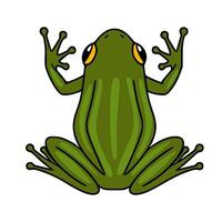 Adorable illustration of a green frog viewed from above, showcasing its unique textured back and expressive yellow eyes. vector